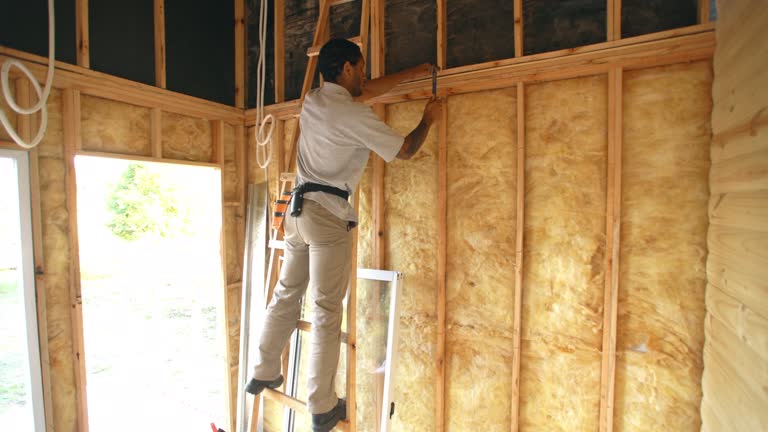 Best Batt and Roll Insulation  in South Pekin, IL